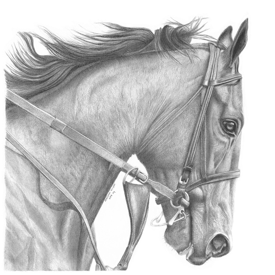 American Pharoah Print V2