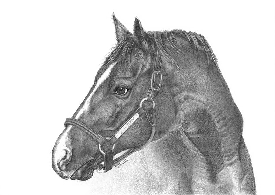 A.P. Indy Print
