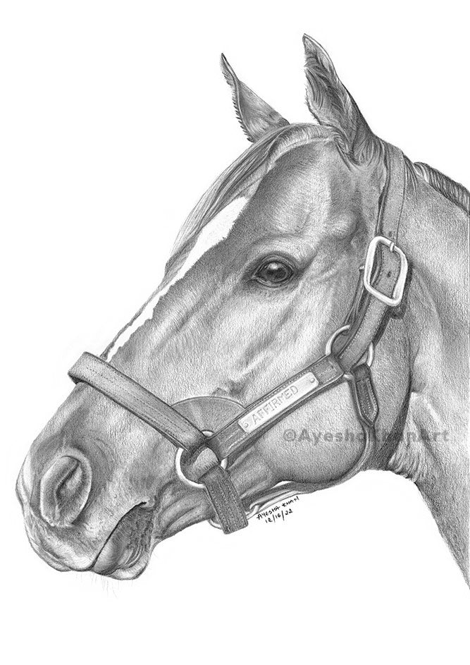 Affirmed Print