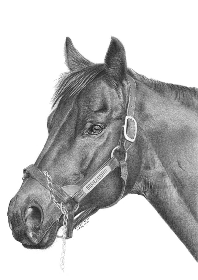 Bernardini Horse Racing Art Print on Archival Paper