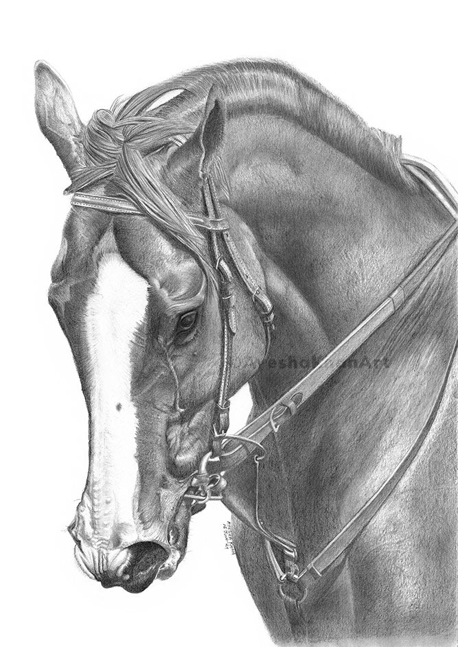 California Chrome Print