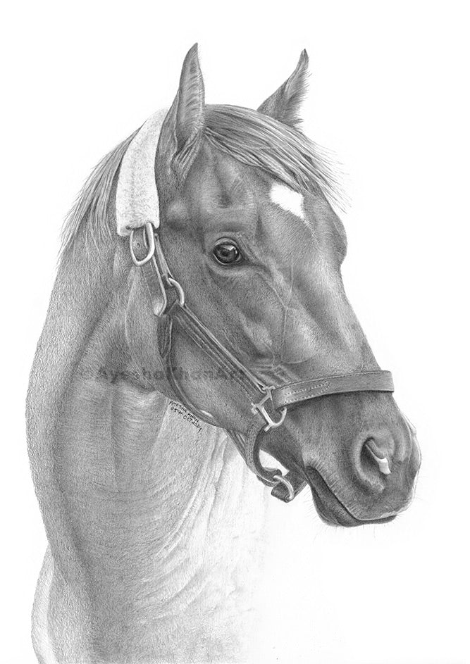 Easy Goer Print