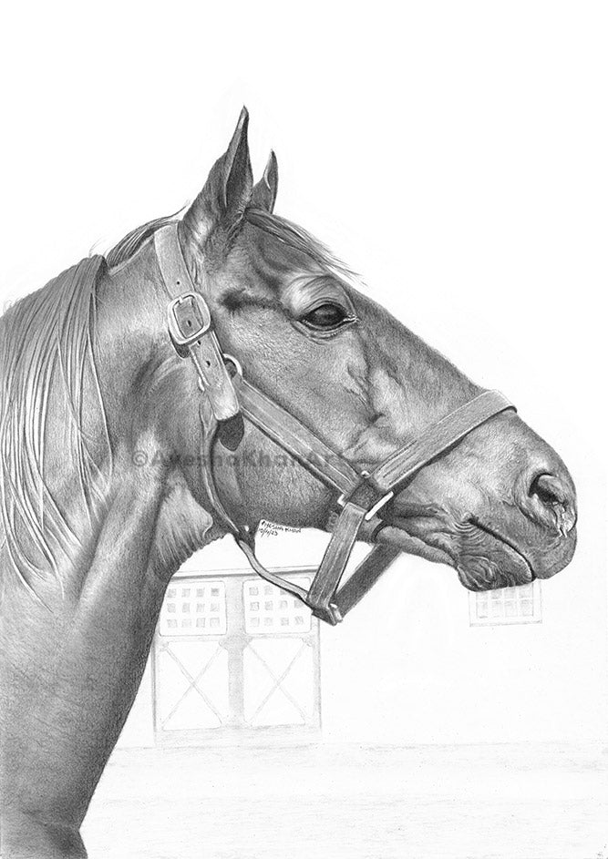 Man o’ War Print V3