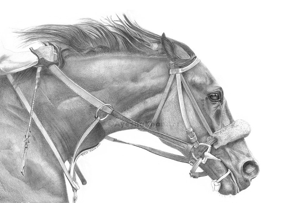 Nyquist Print