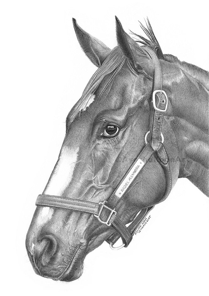 Rachel Alexandra Print