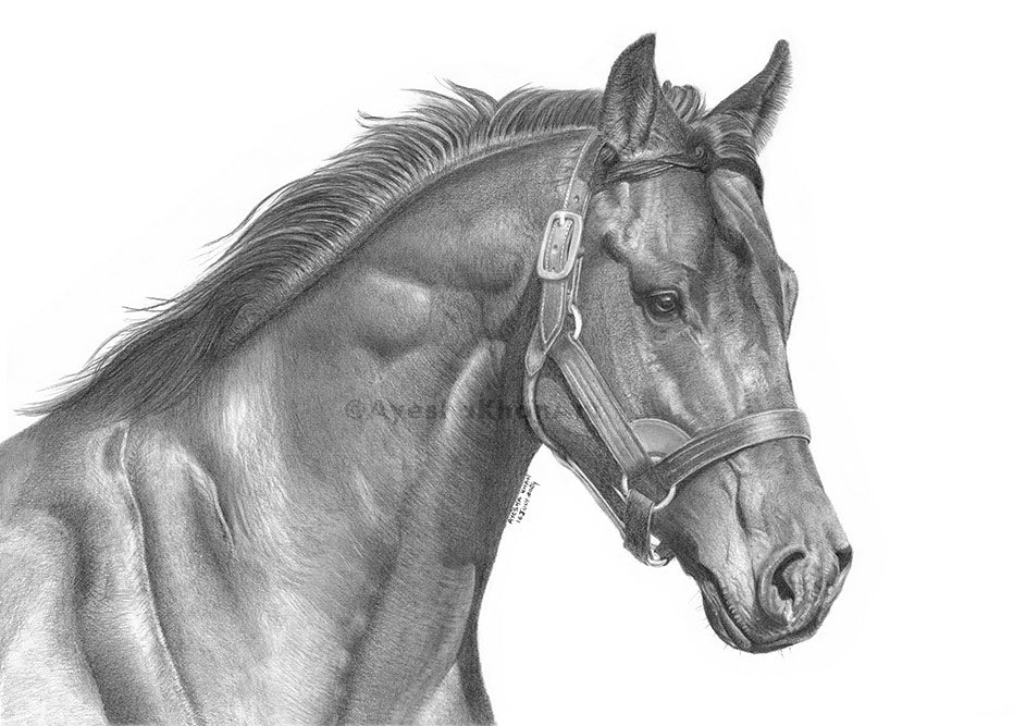 Seattle Slew Print