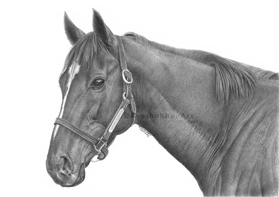 Sunday Silence Print