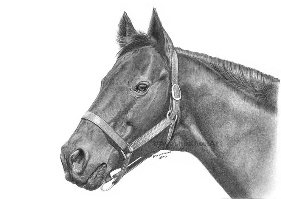 War Admiral Print