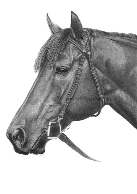 Dr Fager Horse Racing Art Print on Archival Paper